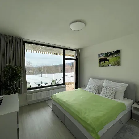 Apartment Darsinka Stachy