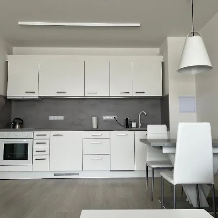 Apartment Darsinka Stachy