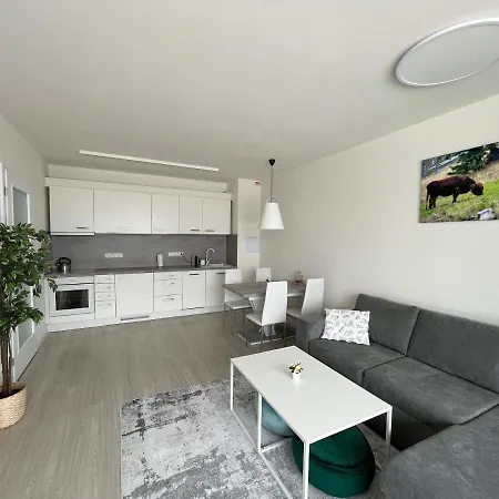 Apartment Darsinka Stachy